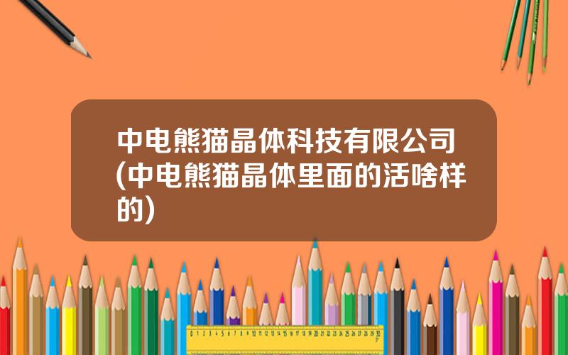 中电熊猫晶体科技有限公司(中电熊猫晶体里面的活啥样的)