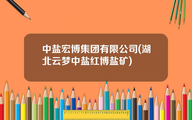 中盐宏博集团有限公司(湖北云梦中盐红博盐矿)