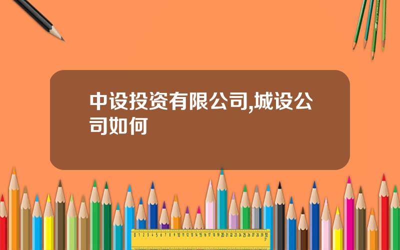 中设投资有限公司,城设公司如何