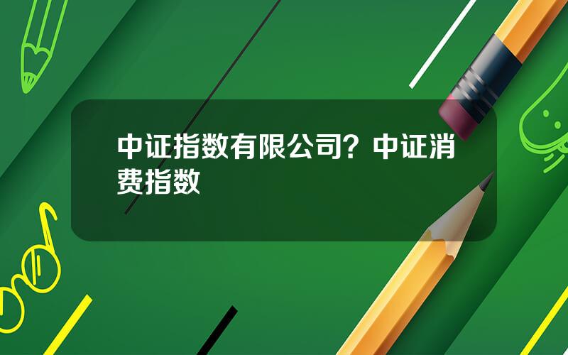 中证指数有限公司？中证消费指数
