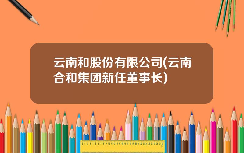 云南和股份有限公司(云南合和集团新任董事长)