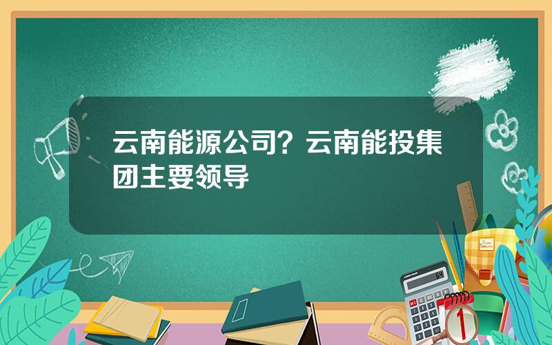 云南能源公司？云南能投集团主要领导