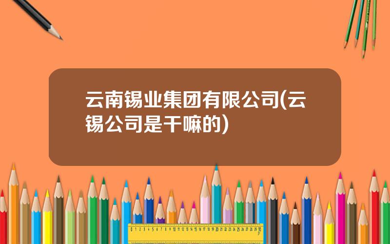 云南锡业集团有限公司(云锡公司是干嘛的)