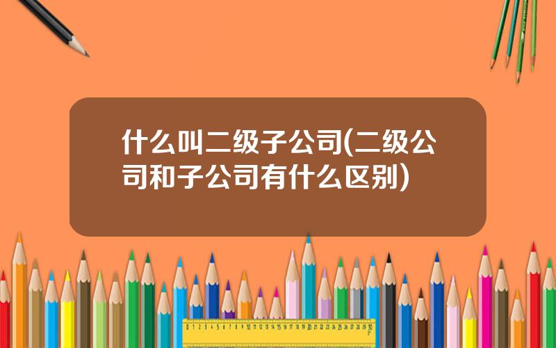 什么叫二级子公司(二级公司和子公司有什么区别)