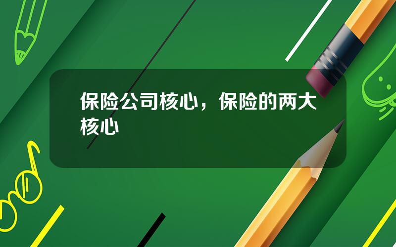 保险公司核心，保险的两大核心