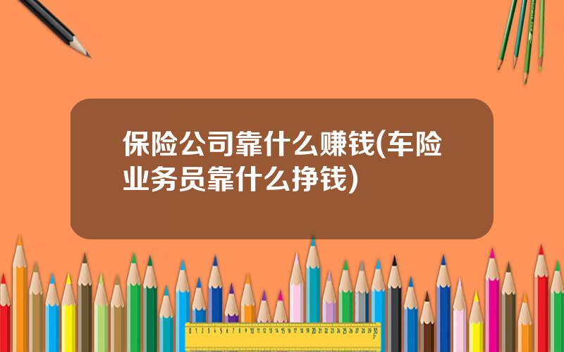 保险公司靠什么赚钱(车险业务员靠什么挣钱)