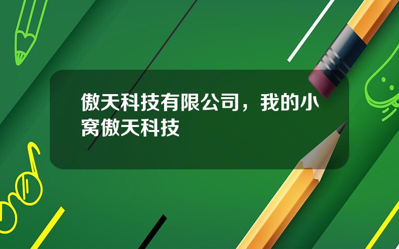 傲天科技有限公司，我的小窝傲天科技