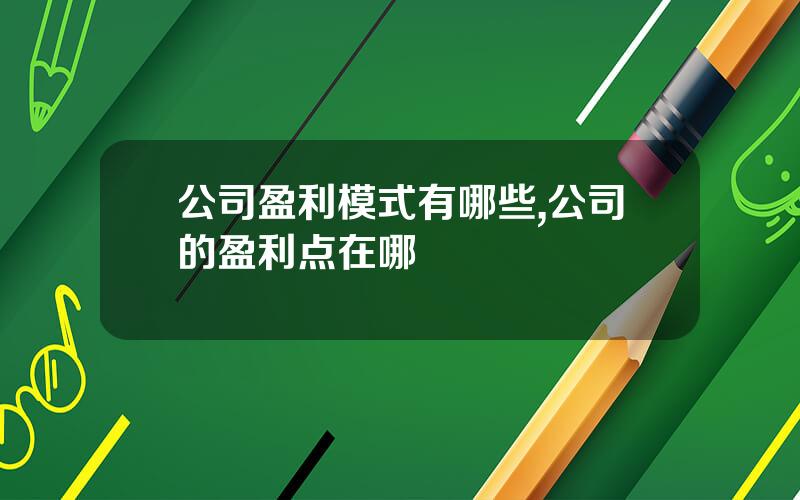 公司盈利模式有哪些,公司的盈利点在哪