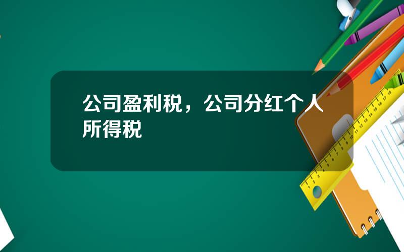 公司盈利税，公司分红个人所得税