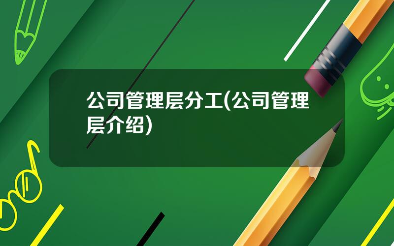 公司管理层分工(公司管理层介绍)