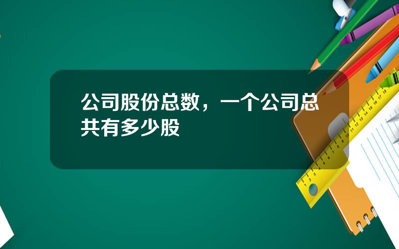 公司股份总数，一个公司总共有多少股