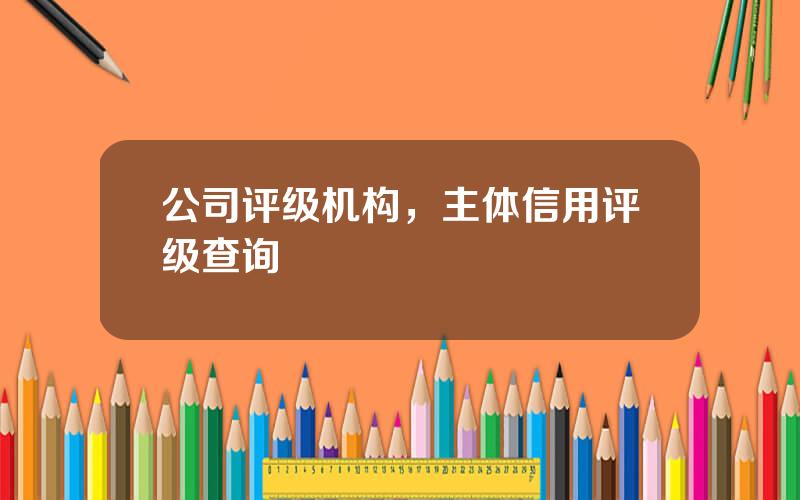 公司评级机构，主体信用评级查询