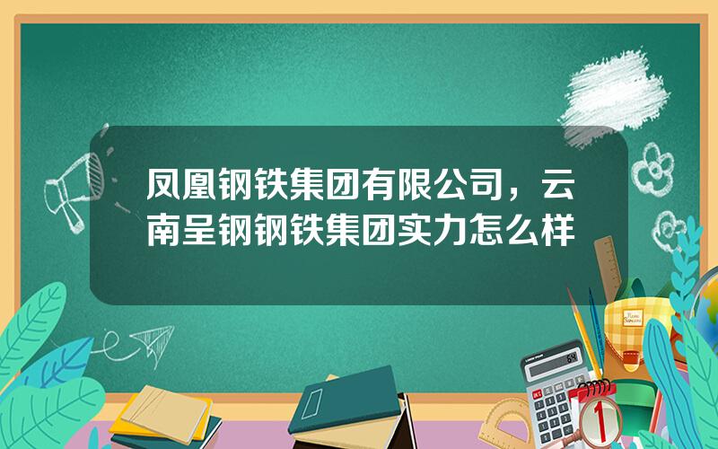 凤凰钢铁集团有限公司，云南呈钢钢铁集团实力怎么样