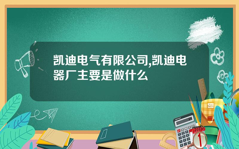凯迪电气有限公司,凯迪电器厂主要是做什么