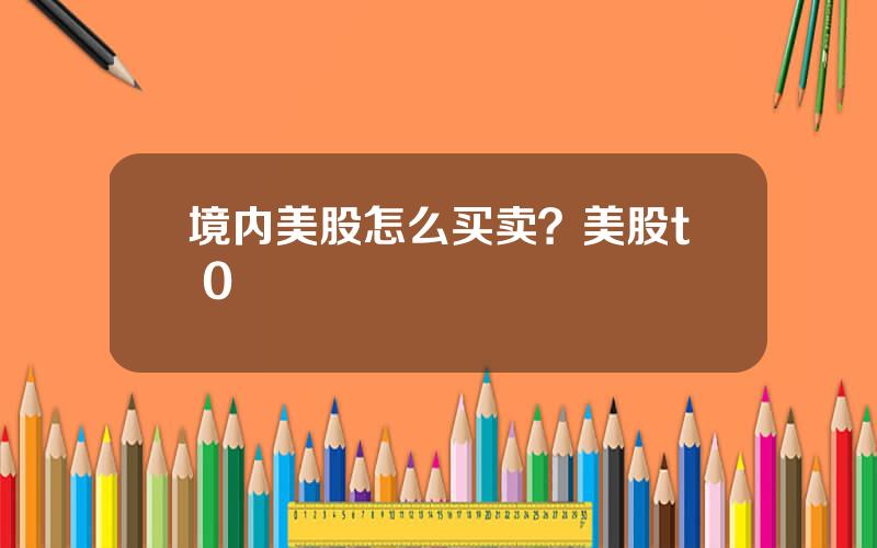 境内美股怎么买卖？美股t+0