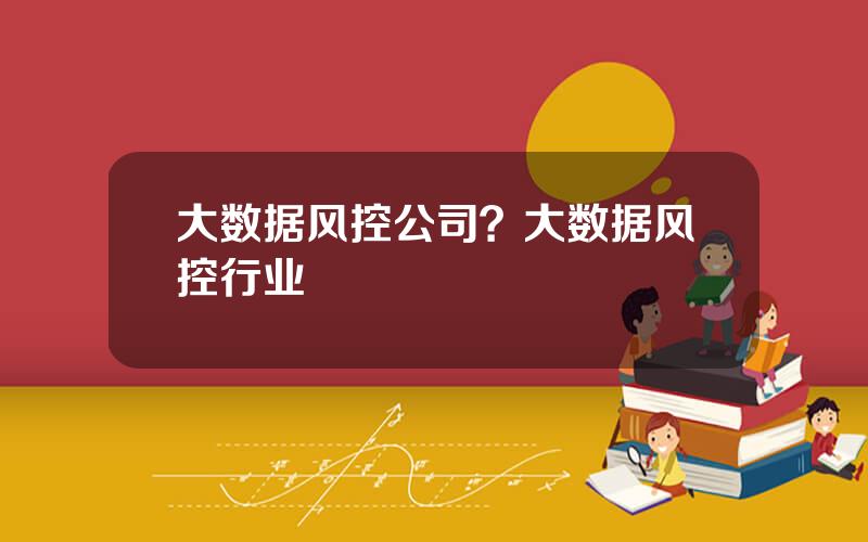 大数据风控公司？大数据风控行业