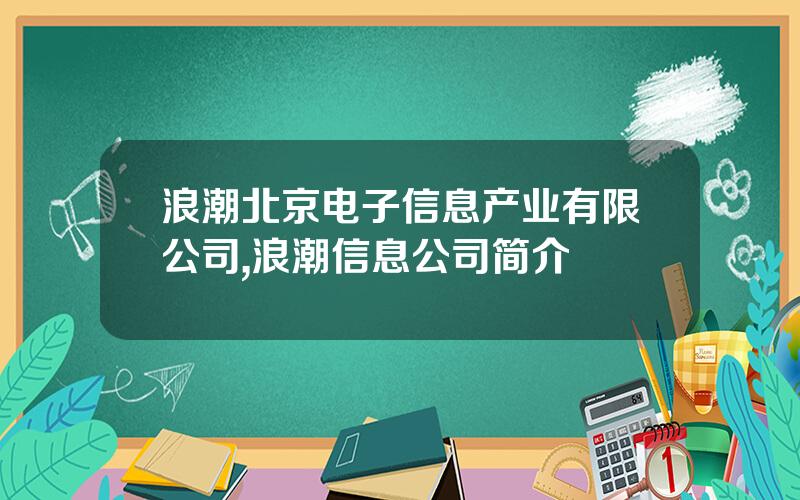 浪潮北京电子信息产业有限公司,浪潮信息公司简介