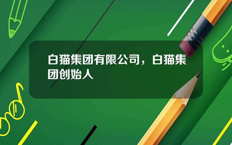 白猫集团有限公司，白猫集团创始人