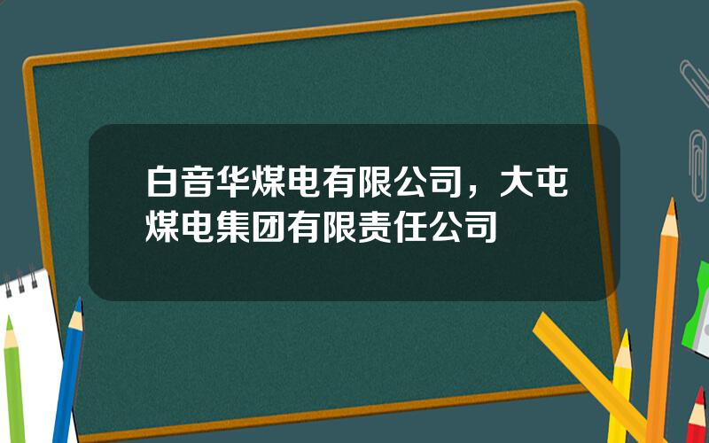白音华煤电有限公司，大屯煤电集团有限责任公司